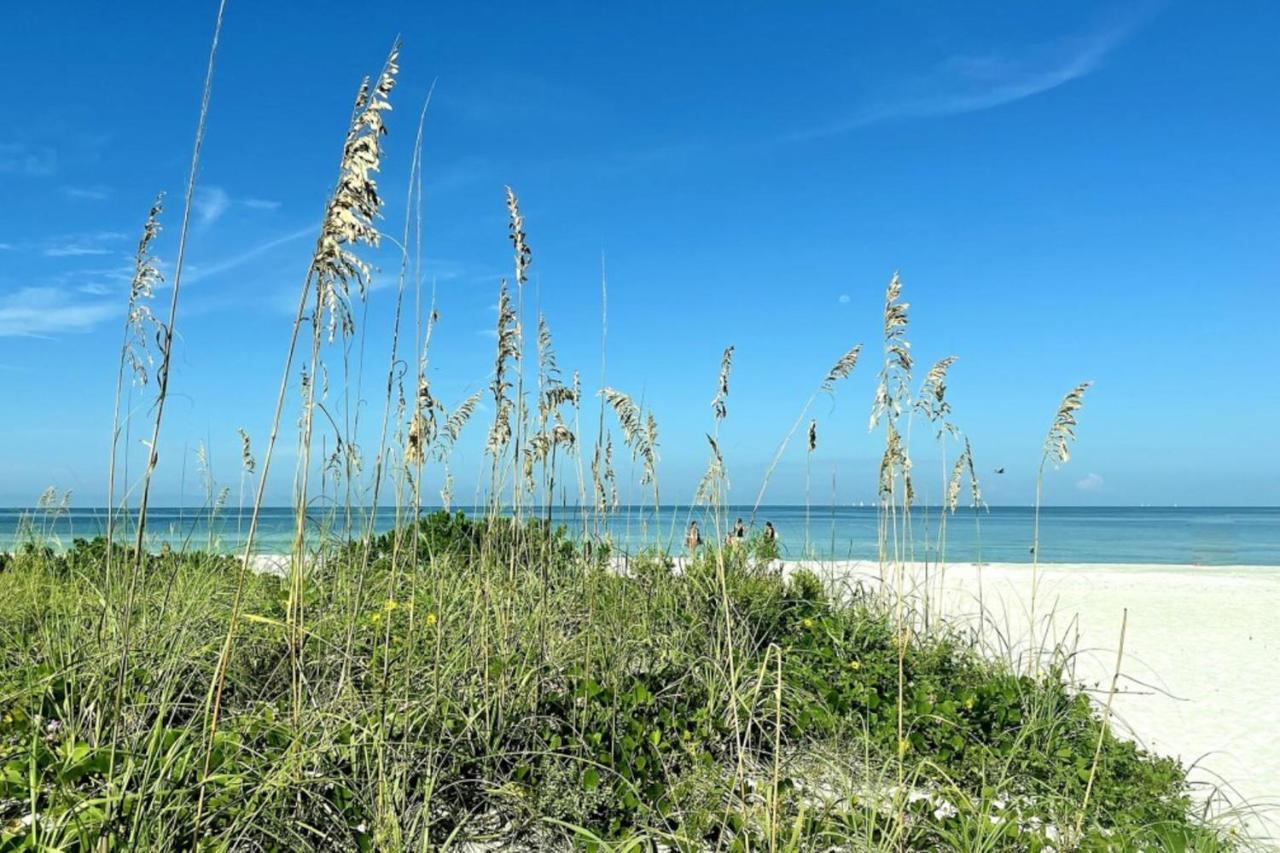 Sand Castle North 404 Clearwater Beach Ngoại thất bức ảnh